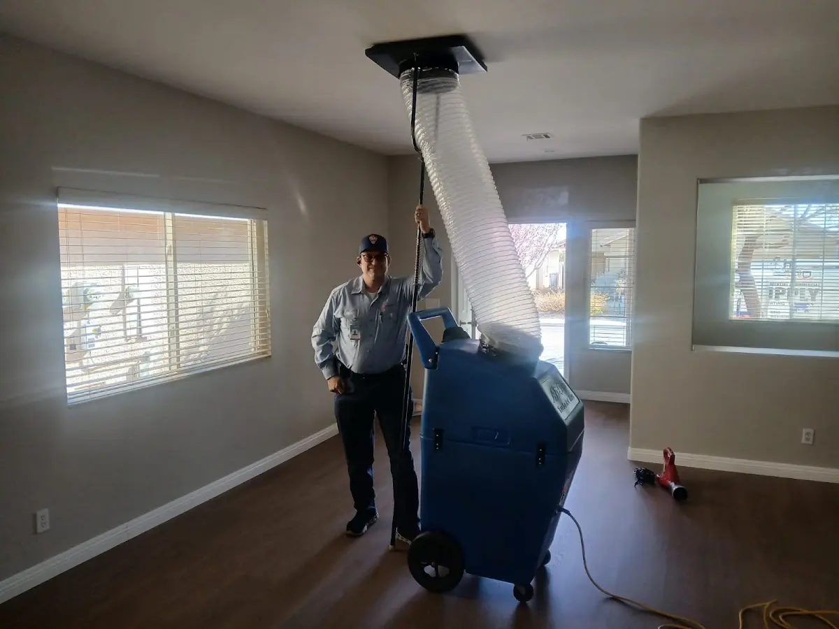Professional Dryer Vent Cleaning work inside a Locust home